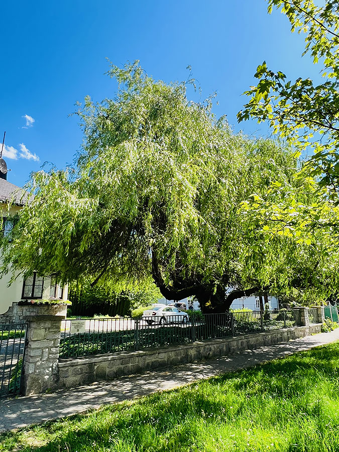Pohled na parkoviště od silnice